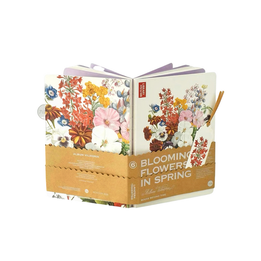 cover of Blooming flowers notebook 6 - Paper Ground
